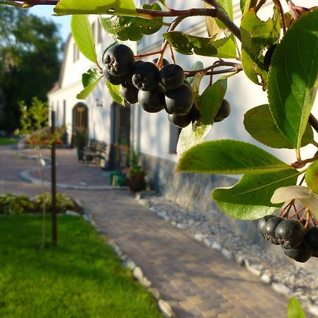 הוילה Lubiechowa Aronia Park מראה חיצוני תמונה