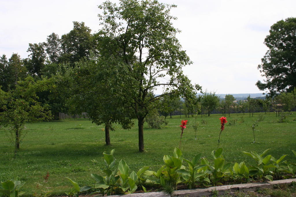 הוילה Lubiechowa Aronia Park מראה חיצוני תמונה