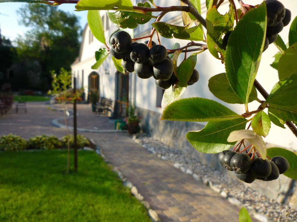 הוילה Lubiechowa Aronia Park מראה חיצוני תמונה